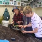 Jim with Hautapu students.  Sept. 2008. Cambridge Tree Trust